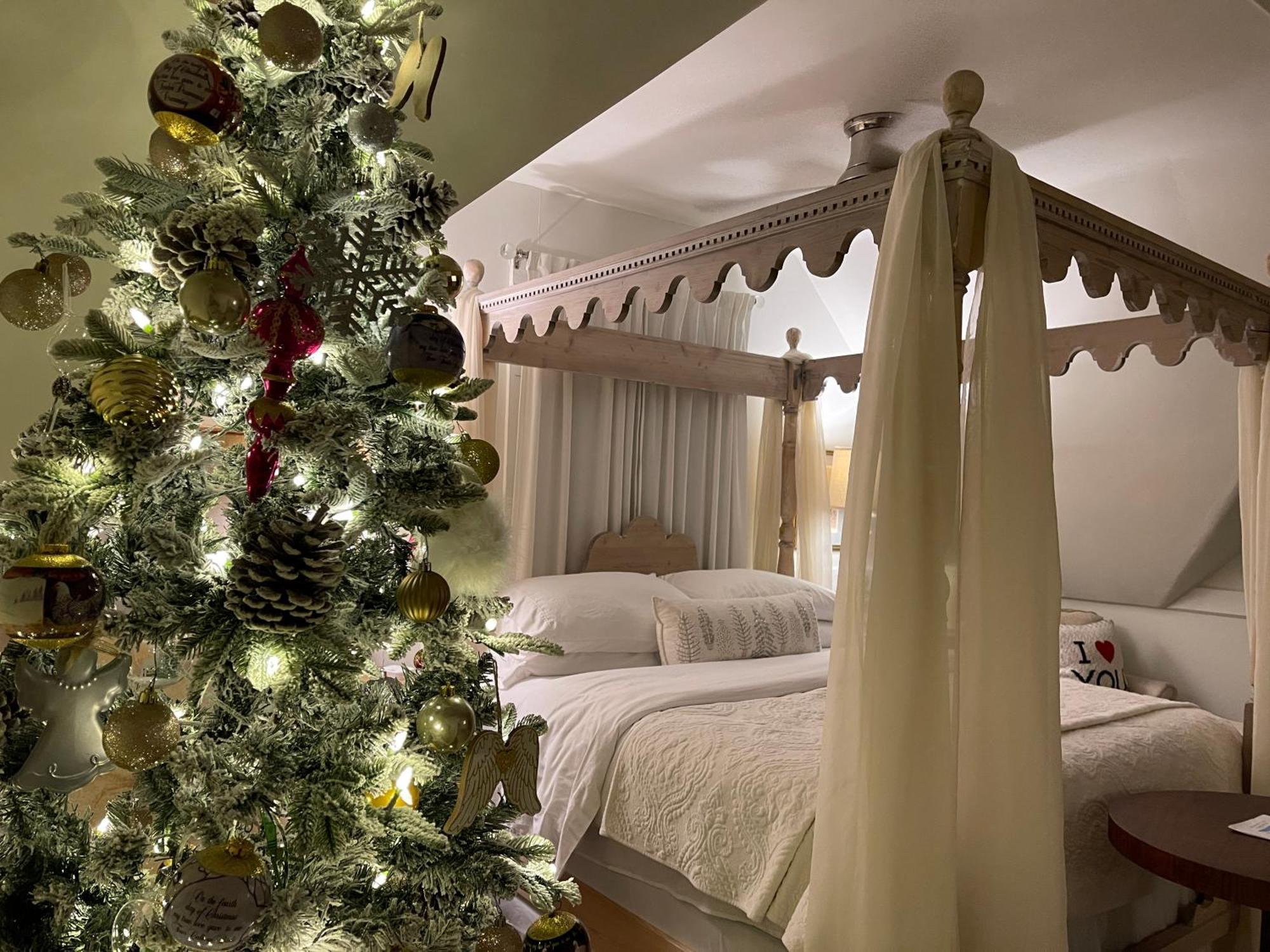 Chesnut Cottage Inn Bed & Breakfast 哥伦比亚 外观 照片